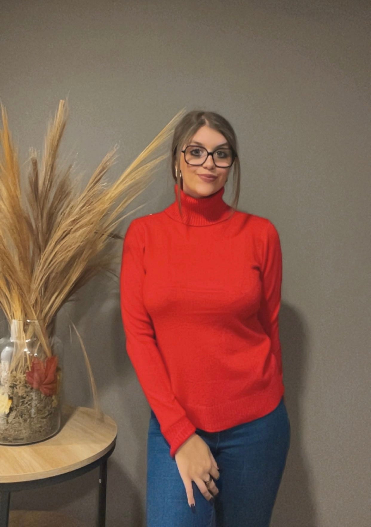 Pull col roulé (existe en plusieurs couleur)