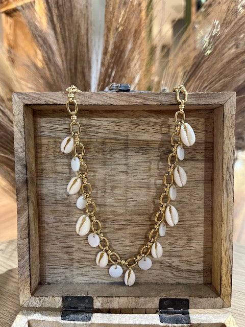 Collier coquillage