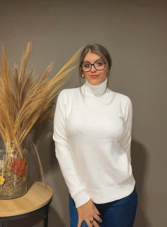 Pull col roulé (existe en plusieurs couleur)