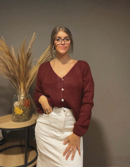 Gilet mohair (existe en plusieurs couleurs)
